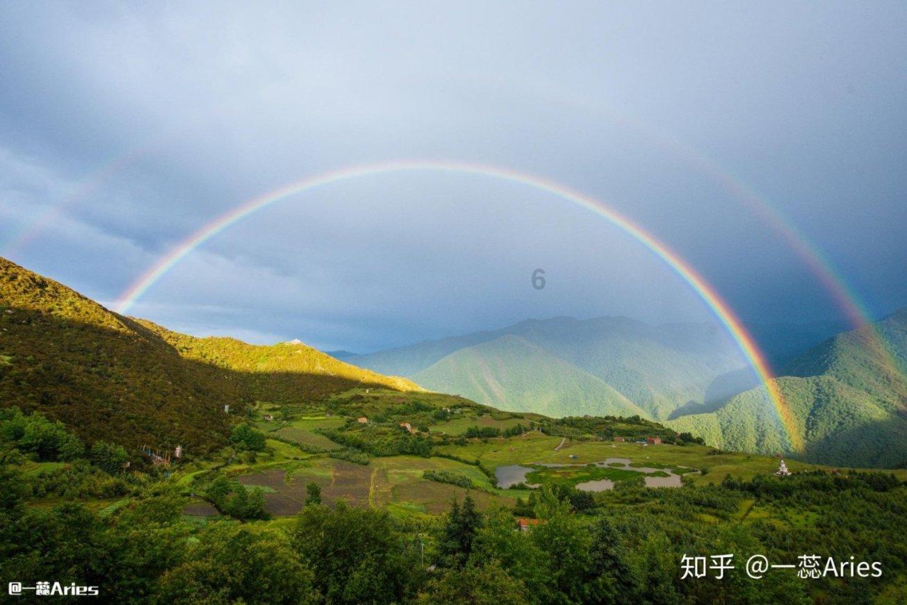 将知识升华，畅享胡萝卜用英文怎么说知识星球